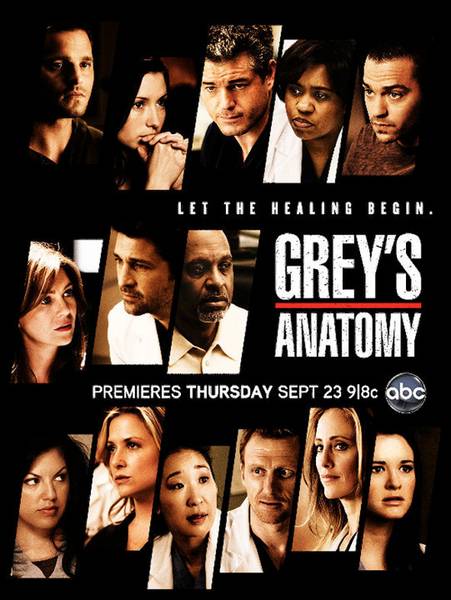 Анатомія Грей / Анатомия Грей / Анатомия страсти / Greys Anatomy (2012) 9 сезон